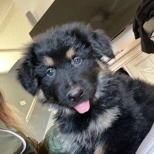 Meet your Posher, Stacy